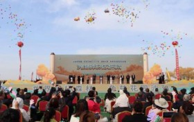 沙雅县2025年胡杨季启幕世界最大胡杨林绽放金色魅力