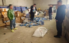 揭露：假种子背后 低成本的“伪装术”